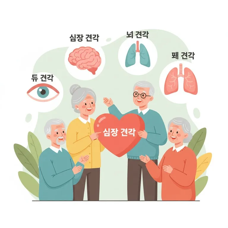 시니어 대상 건강검진 항목 쉽게 이해하기